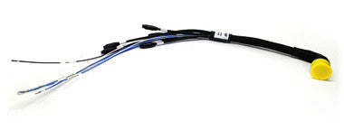 AiM Dash 22-Pin Expansion Harness