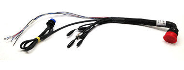 AiM Dash 37-Pin DTM Harness