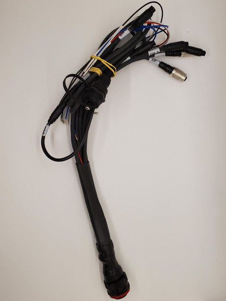 AiM EVO5 37-Pin Primary Harness